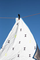 PAPER PLANES image 5